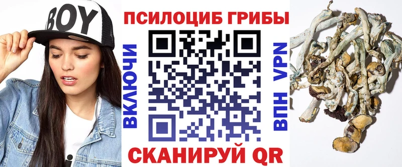 Купить где  Полевской  Псилоцибиновые грибы мицелий 